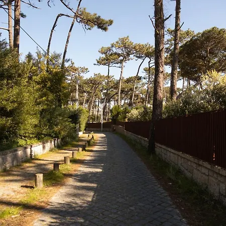 Ofir Flat Διαμέρισμα