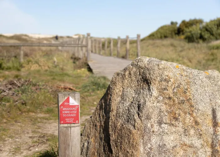 Апартаменты Ofir Flat