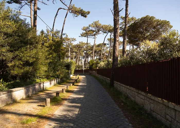 Ofir Flat Апартаменты